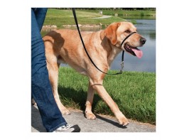 Imagen del producto Easy walk collar de manejo para perros   negro pequeño